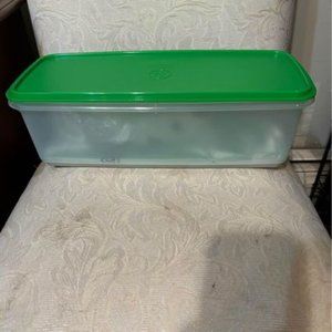 Tupperware Crisper/Celery Keeper